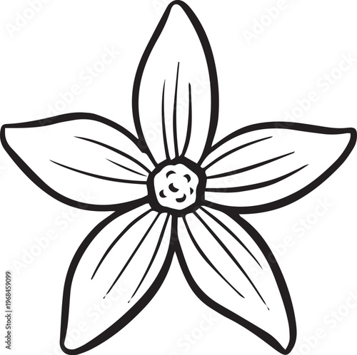 Simple floral flower heads wildflower outline clipart vector illustration