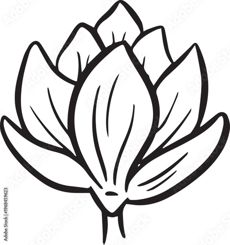 Simple floral flower heads wildflower outline clipart vector illustration