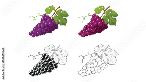 Set of four grape cluster illustrations including two purple versions, one black silhouette, and one white line art outline for versatility.