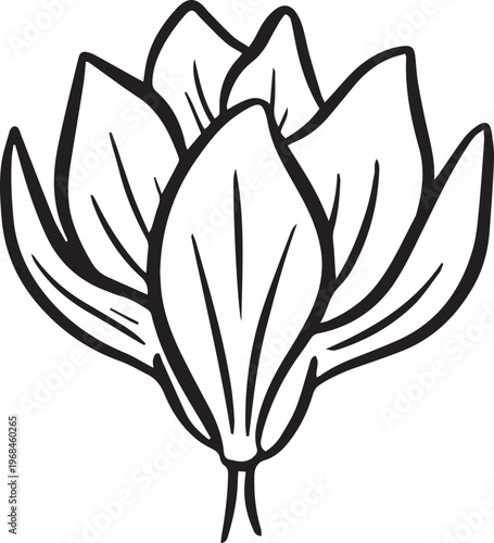 Simple floral flower heads wildflower outline clipart vector illustration