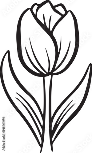 Simple floral flower heads wildflower outline clipart vector illustration