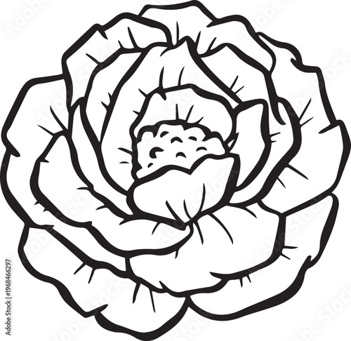 Simple floral flower heads wildflower outline clipart vector illustration