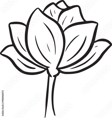 Simple floral flower heads wildflower outline clipart vector illustration