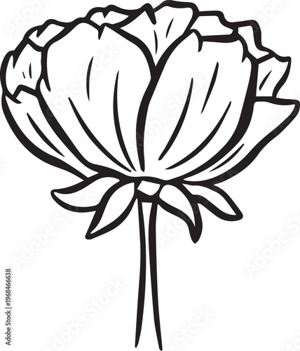 Simple floral flower heads wildflower outline clipart vector illustration