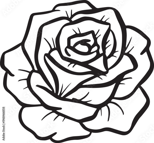 Simple floral flower heads wildflower outline clipart vector illustration