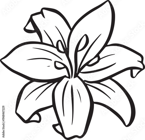 Simple floral flower heads wildflower outline clipart vector illustration