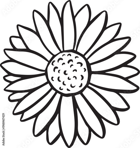 Simple floral flower heads wildflower outline clipart vector illustration
