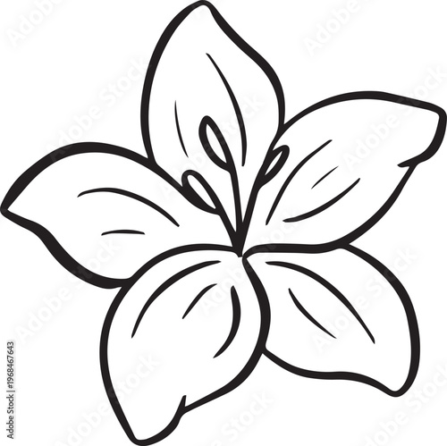 Simple floral flower heads wildflower outline clipart vector illustration