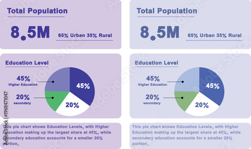 Demographic Analysis Dashboard with Pie Chart showing Education Level Population Distribution and Urban vs Rural Statistics Infographic