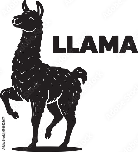 Black llama standing on white background