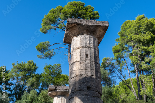 Ancient Columns Among Trees in Olympia, Greece
