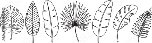 Diverse leaf shapes illustrate the variety in foliage across different plant species Vector