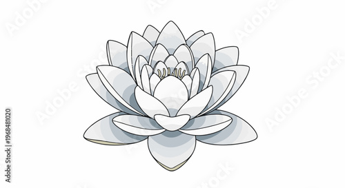 A delicate white lotus flower with layered petals and detailed center