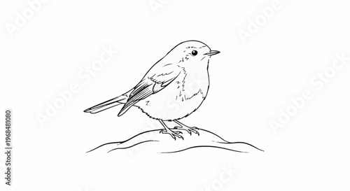 A detailed black and white illustration of a small bird perched on a mound