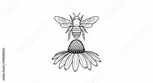 A black and white line drawing of a bee hovering above a flower