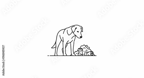 A dog looks at a pile of discarded cans on a white background