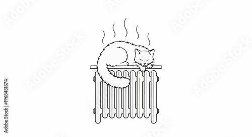 A fluffy cat naps contentedly on a warm radiator, steam rising gently