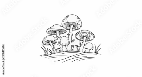 A black and white line drawing of a cluster of mushrooms growing from wavy ground