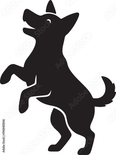 Dog standing on hind legs looking up