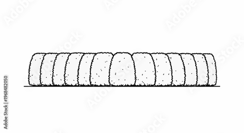A row of symmetrically shaped, textured bushes in a linear arrangement