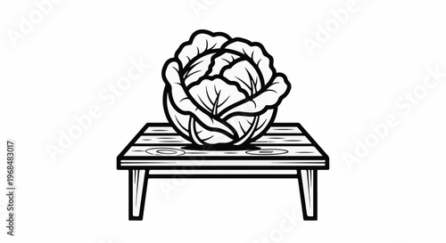 A black and white outline drawing of a cabbage resting on a wooden crate