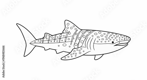 A simple black and white line drawing of a spotted shark
