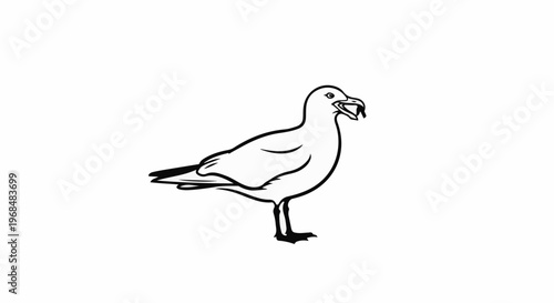 A simplified black and white line drawing of a seagull holding a small object in its beak