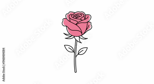 A single pink rose with green leaves and a black outline
