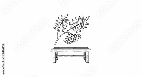 A sketch of rowan berries and leaves above a wooden bench