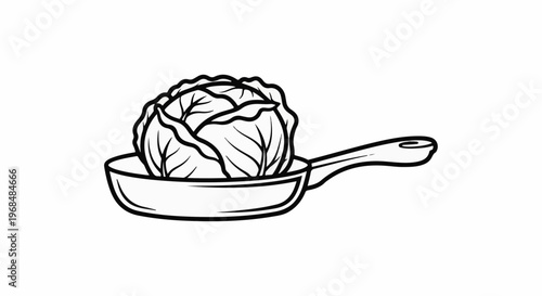 A sketched cabbage sits in a frying pan on a white background