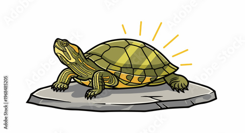 A stylized turtle with a patterned shell rests on a textured rock