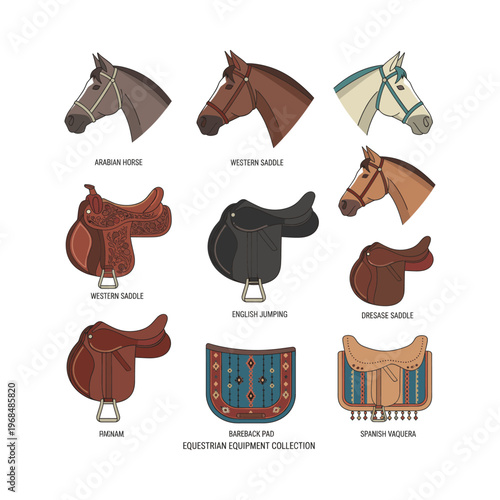 Equestrian gear set in sleek outline style. Includes horse profiles, various saddle styles, and a bareback cushion
