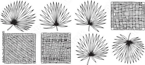 Diverse patterns of circular and grid designs in black and white Vector
