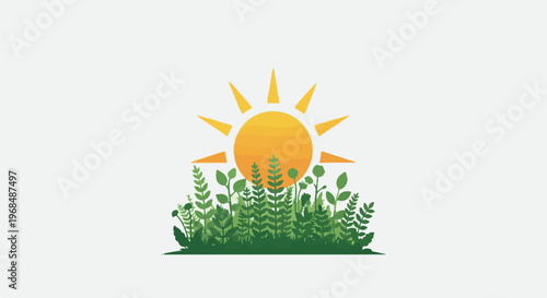 A bright sun rises over a lush green field of diverse plants