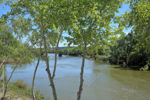 Bridge over the Tagus River framed by spring trees in Talavera de la Reina, Spain