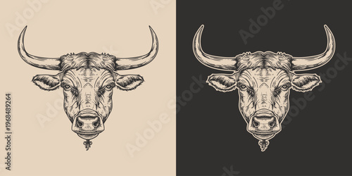 Vintage retro engraving woodcut style sketch draw paint of bull head front view cartoon style