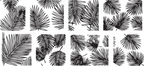 Intricate patterns of feathers in black and white illustrations Vector