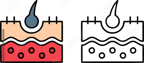 Cross Section of Skin Surface with Damaged Hair