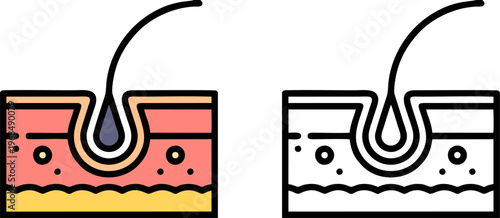 Human Skin Anatomy with Single Hair Follicle
