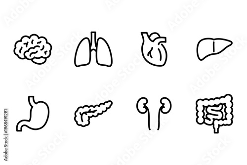 シンプルな内臓の線画アイコン イラストセット