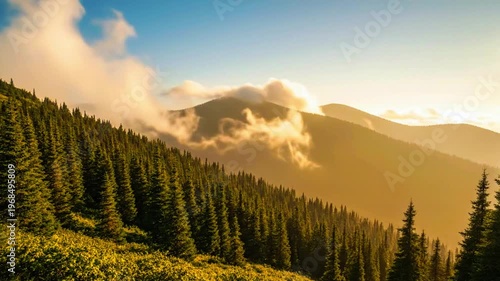  a peaceful mountain forest under soft haze, clouds barely moving, static 