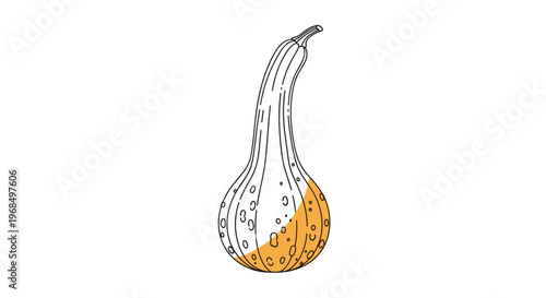 Long-necked gourd or squash with a textured skin and a single orange color splash for autumn and harvest season themes.