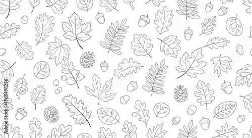 Autumnal line drawing pattern depicts a variety of fallen leaves acorns and pine cones scattered across a clean white background.
