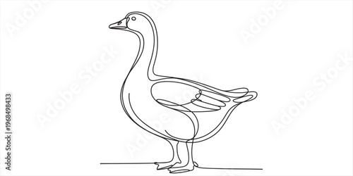 Minimalist continuous line drawing of a white goose standing calmly on a plain white background Vector, illustration