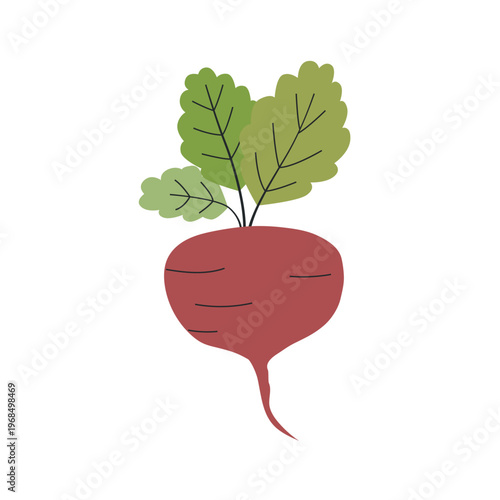 Cute illustration of beetroot. Naive flat vector design for gardening themes and rustic vegetable branding.