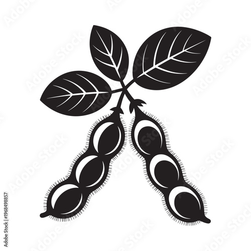 Black and white illustration of soybean pods with leaves isolated on white