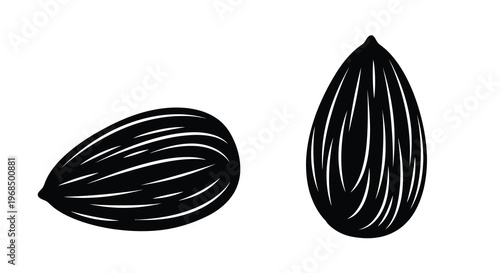 Two almonds depicted in a striking black and white silhouette