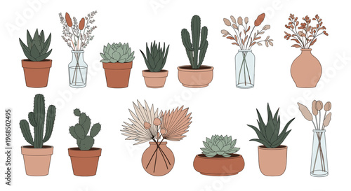 Diverse collection of indoor house plants including cacti and succulents in ceramic pots along with dried floral arrangements.
