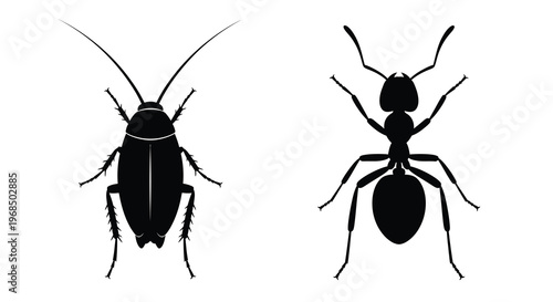 Two insect silhouettes facing each other detailed and striking silhouette