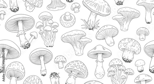 Intricate seamless pattern featuring diverse mushroom varieties in a classic black and white vintage engraving style.